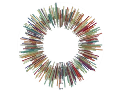 BarChart - radial-weather